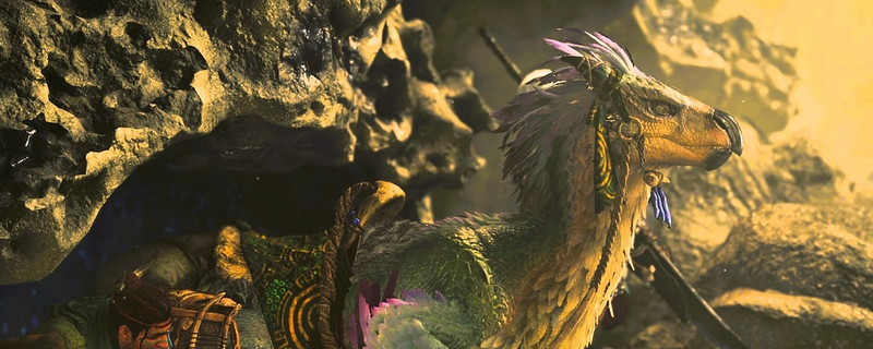 《怪物猎人荒野》端丽翼鸟分布全解析