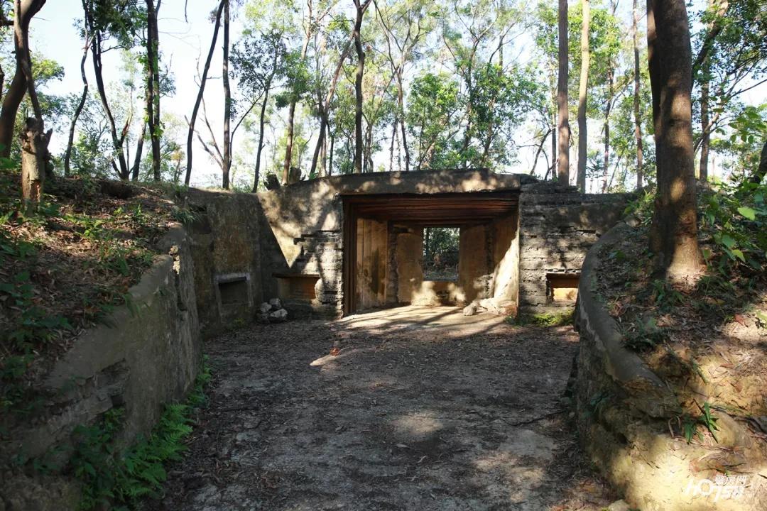 炮塔防御2怎么玩？独家揭秘高阶布局与炮塔搭配