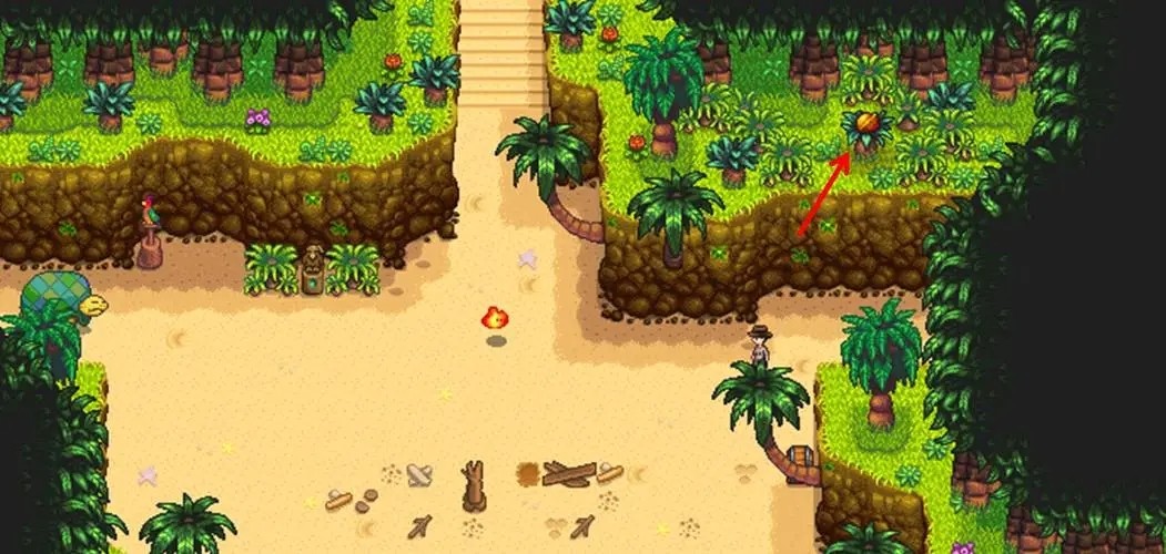 星露谷物语姜岛解锁攻略大揭秘！隐藏奖励等你来拿！