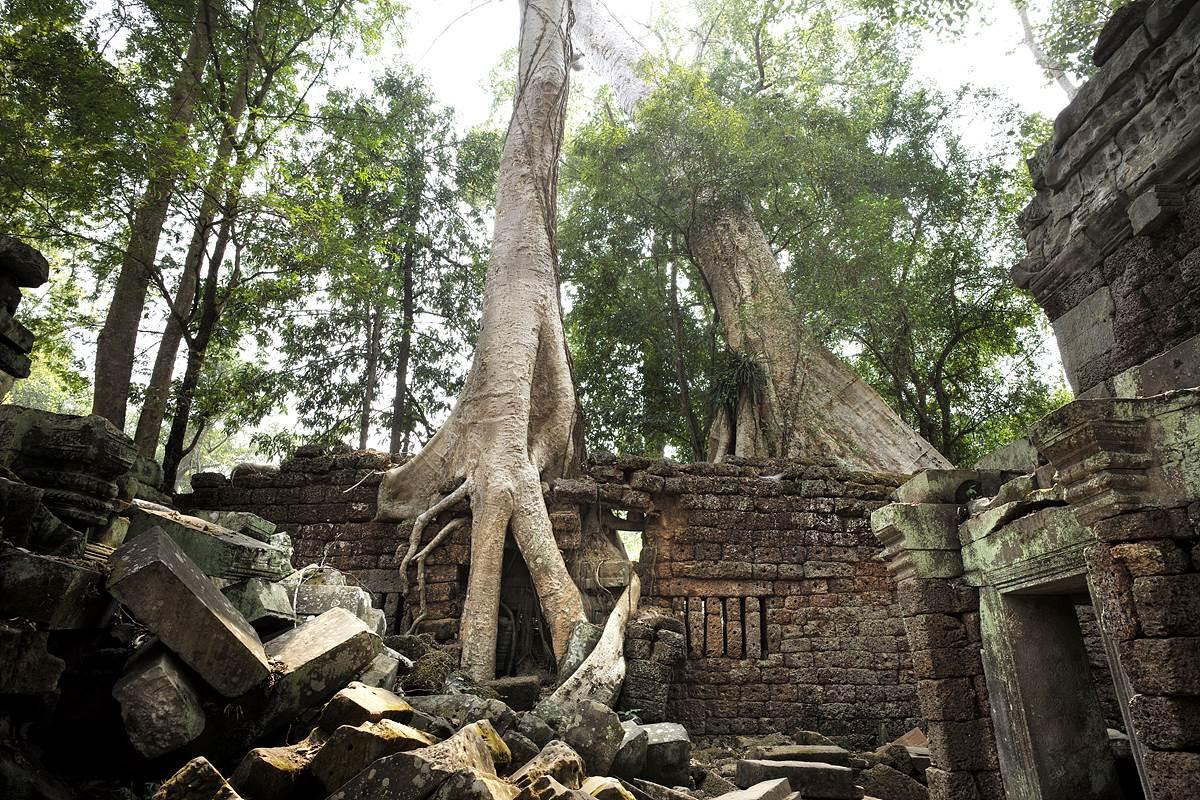 《古墓丽影》续作新升级：多人冒险模式，共闯神秘古墓！
