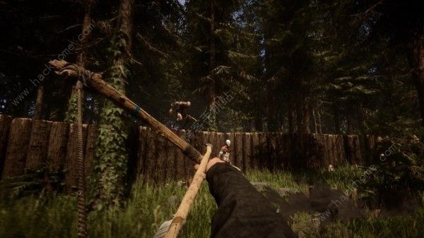 《森林之子新手攻略：开荒期生存技巧揭秘》