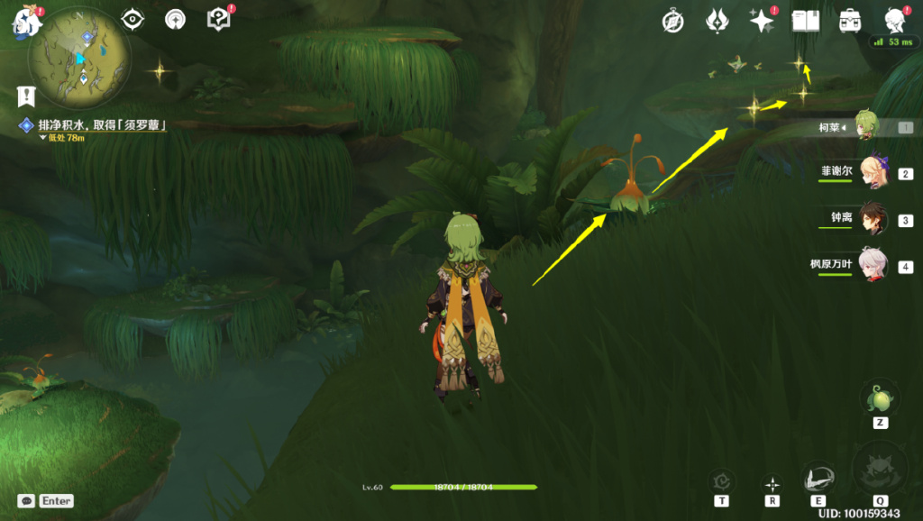 《原神》须弥洞穴全攻略：揭秘山洞入口与探险路线