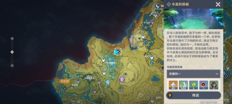 《原神》须弥3.0地图解锁攻略：揭秘进入方法！