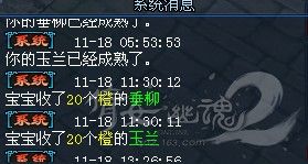 2026年实测收益与避坑指南图片