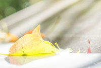 《三国志13》头像包大升级！一键替换，美颜新体验