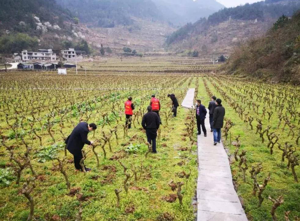 《Minecraft》全自动耕种机建造攻略：高效种植技巧揭秘