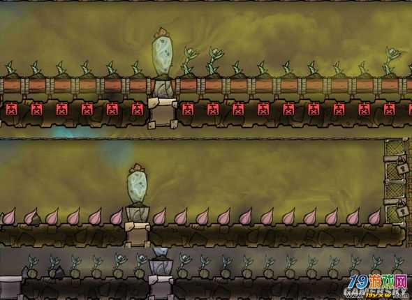 《缺氧作物种植秘籍：完美种植技巧大揭秘》