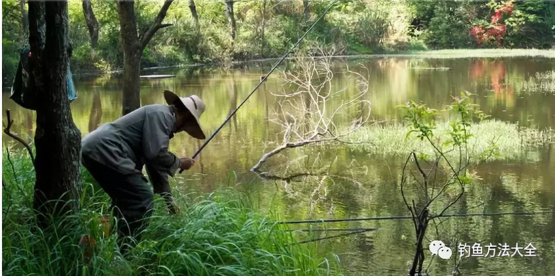 《一方灵田钓鱼攻略：轻松捕获灵田鱼儿》