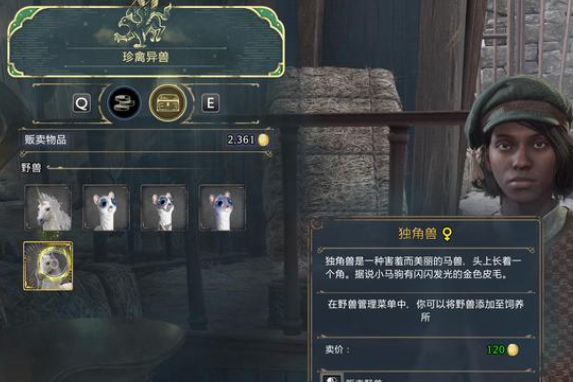 《霍格沃茨之遗》橙装速刷攻略：高效获取稀有装备