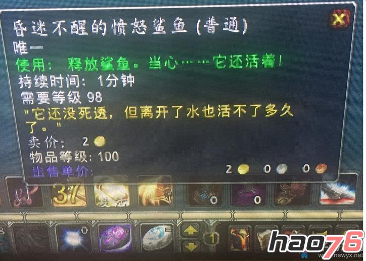 《魔兽世界钓鱼狂潮：速成攻略，轻松拿下猛冲大赛成就》