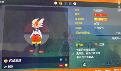 《宝可梦朱紫》闪焰王牌无敌攻略：掌握最强战法