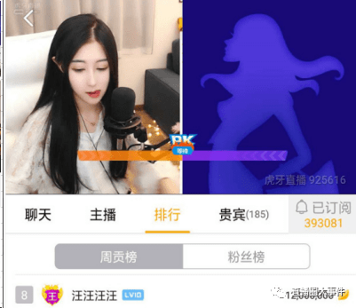 《油管主播日常：角色互动玩法深度体验》