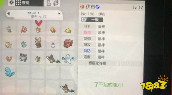 《剑盾宝可梦速成攻略：高效培育技巧揭秘》