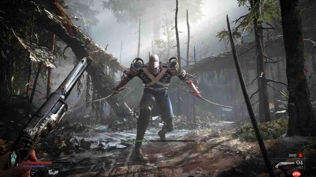 《不朽遗志》：揭秘新魂游戏，探索独特魂类体验