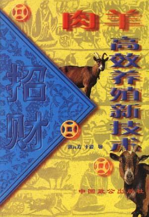 《羊了个羊》第二关必胜秘籍！10月9日高效通关攻略大揭秘