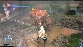 仁王超值购入攻略：揭秘性价比最高的购买平台