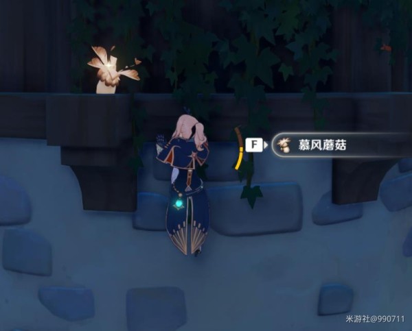 原神慕风蘑菇哪里刷最多？沙尔·费恩德突破极速采集路线