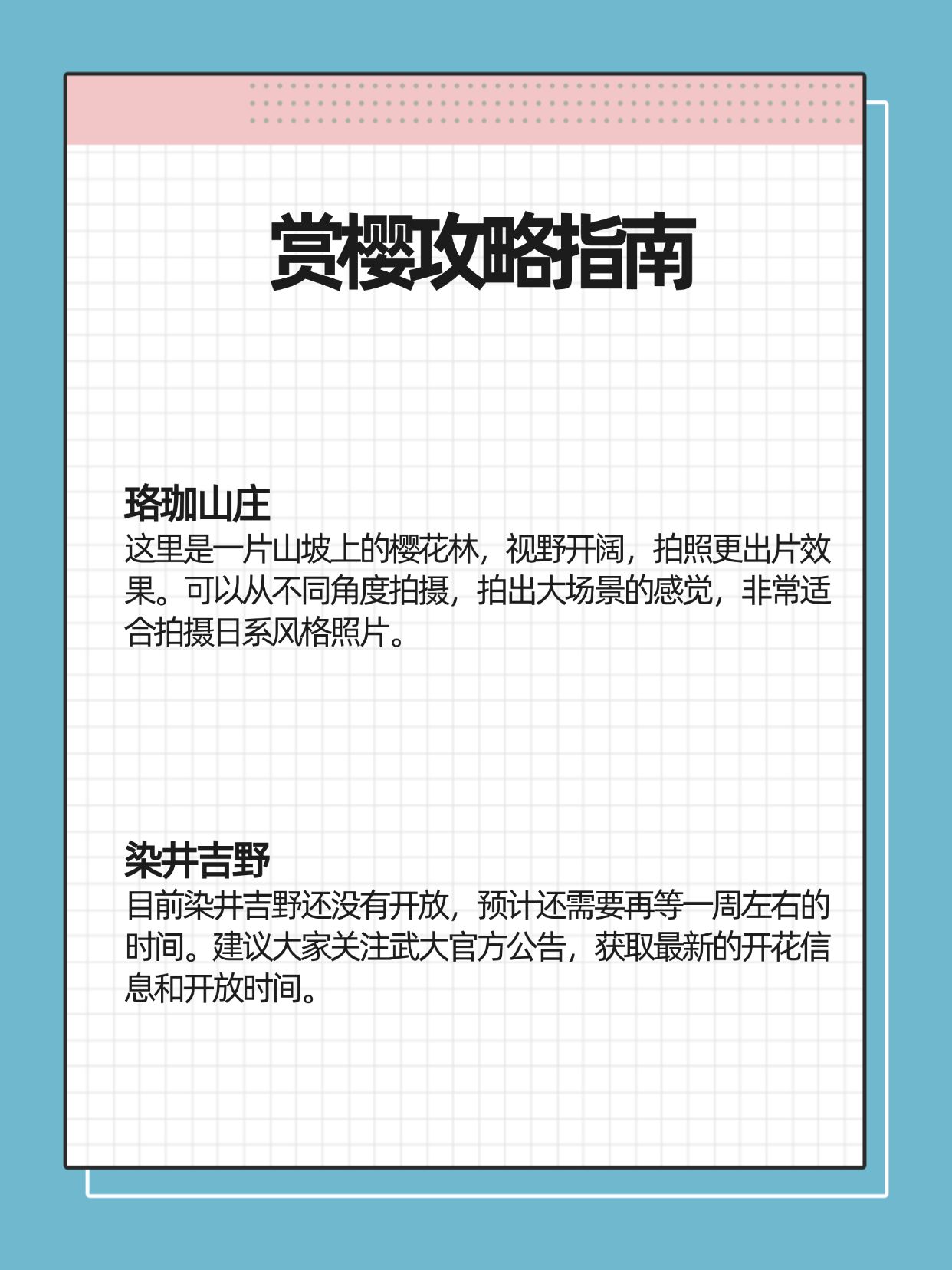 武大早樱终于开了？2026年独家机位与预约实操全解