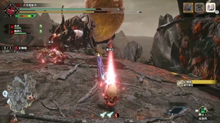 《荒野猎人刺花蜘蛛攻略：高效打法+掉落解析》