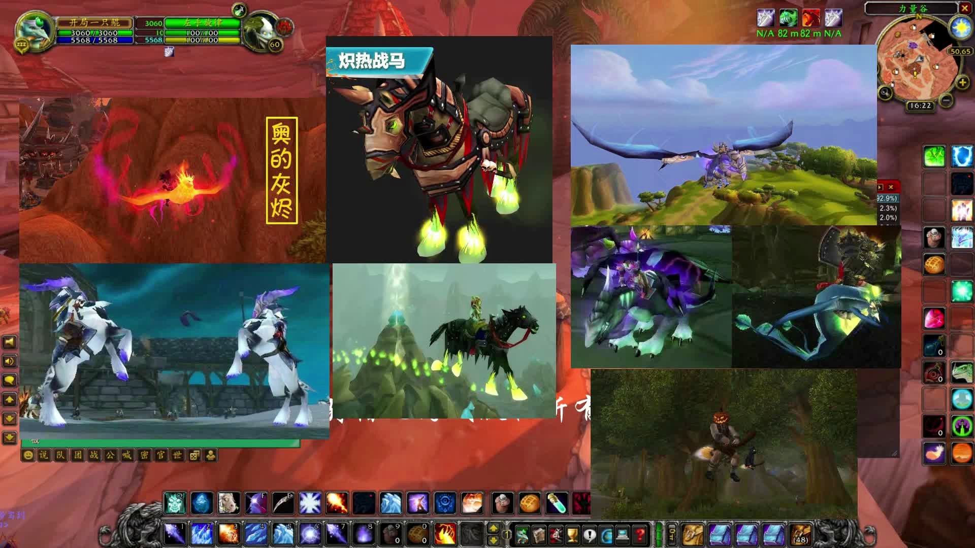 魔兽世界稀有坐骑大揭秘，2026年最强拾荒指南