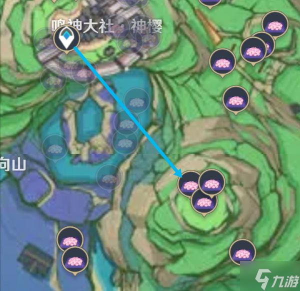 原神绯樱绣球全采集路线，雷神突破材料一天拿满的极速攻略