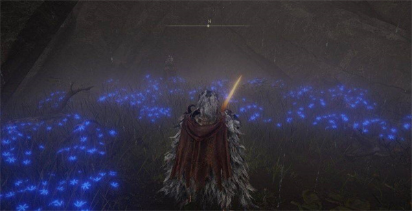 《艾尔登法环》辉石彗星攻略：快速获取方法揭秘