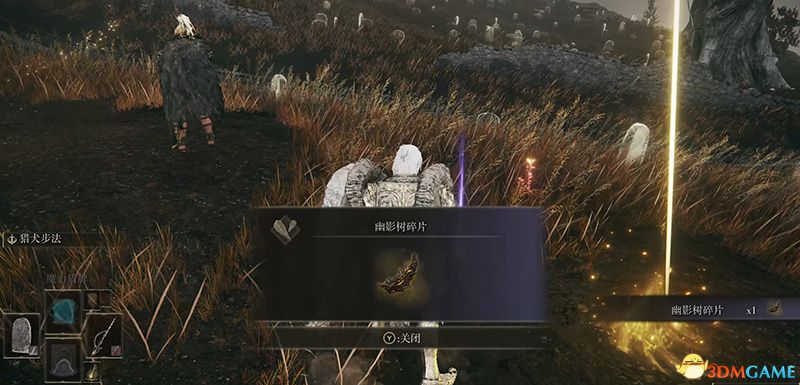 《艾尔登法环》墓地平原幽影树碎片：隐藏位置大揭秘！