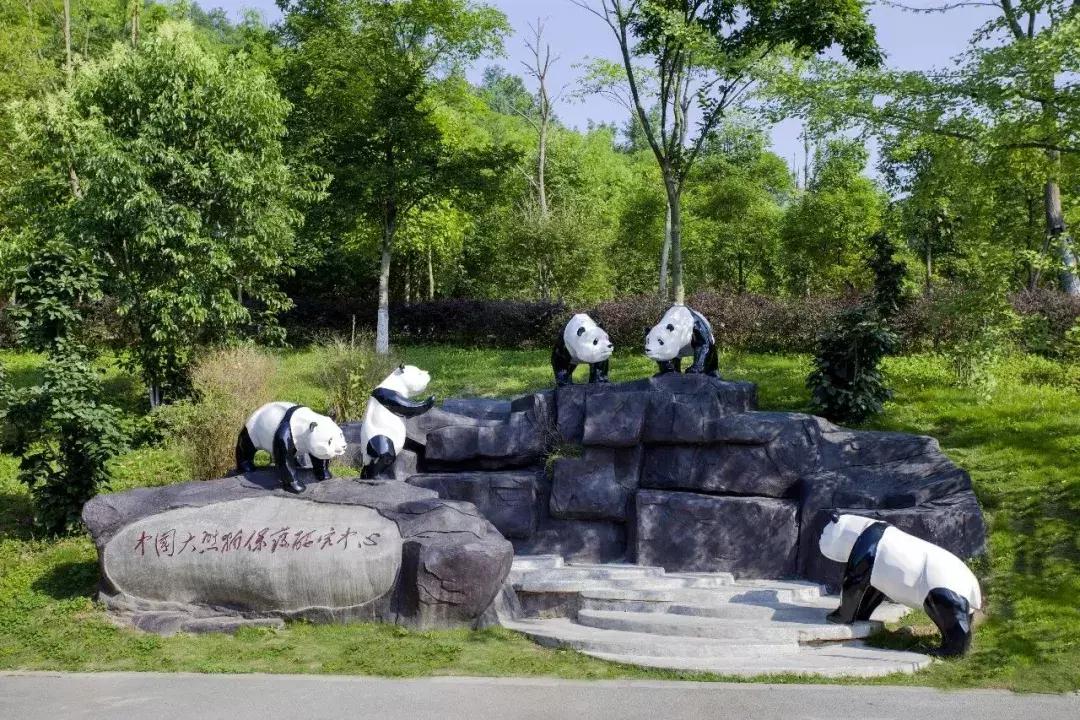 《无限暖暖》植物图鉴：揭秘采集秘境与实用攻略