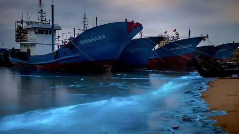 星之海洋5还有救吗？深度解析私有行动模式与融合技巧