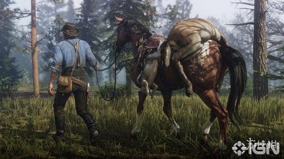 《荒野大镖客剥皮速成攻略》