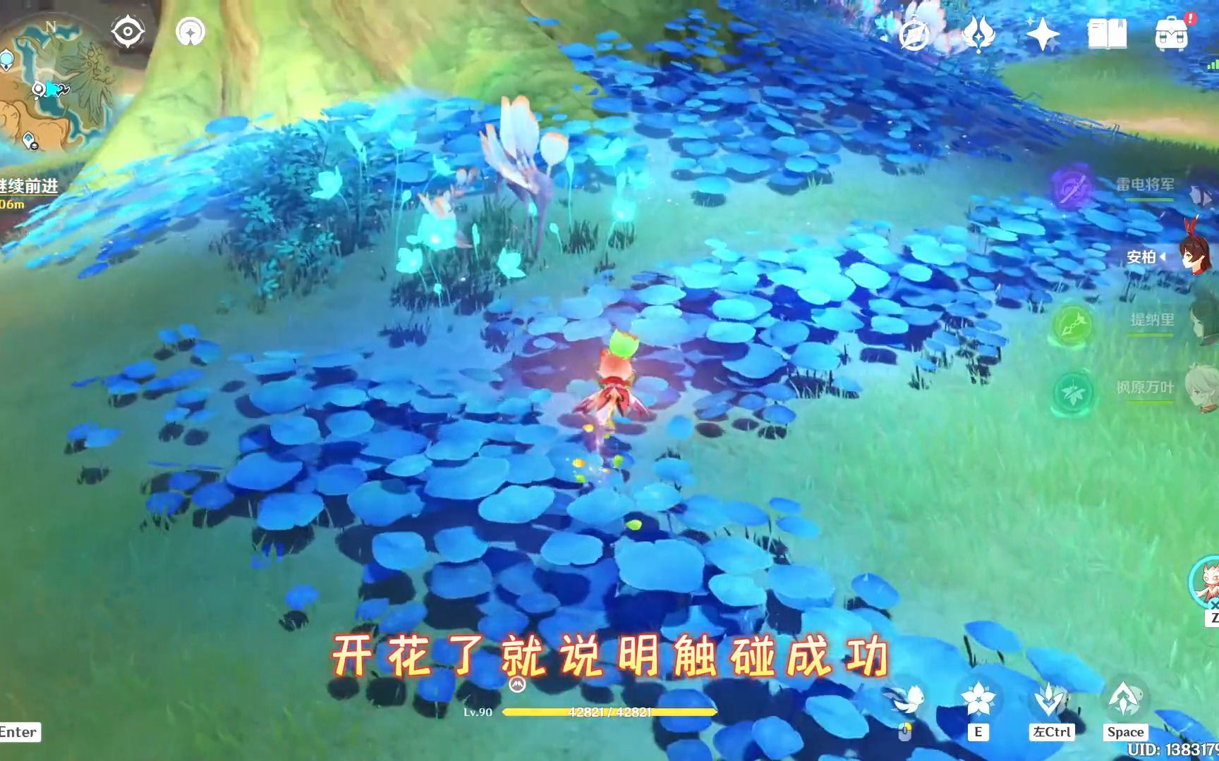 《原神》彩菊秘境攻略：灼灼花海宝藏点全揭秘