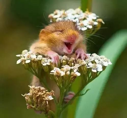 硬核山西午睡文化，从人类到动物全员躺平的终极指南